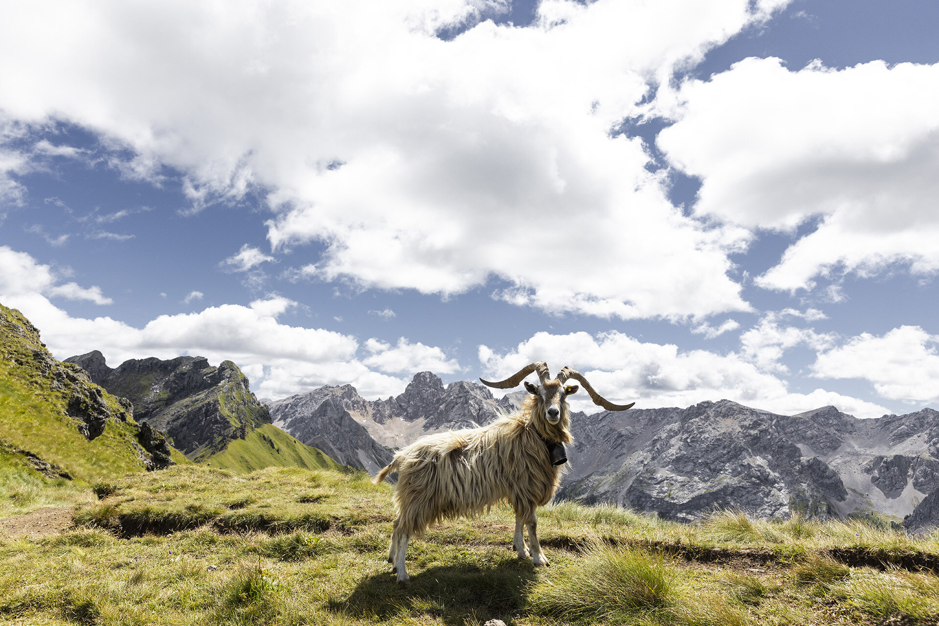 ApTValdiFassa 028 FEDERICO MODICA 2129