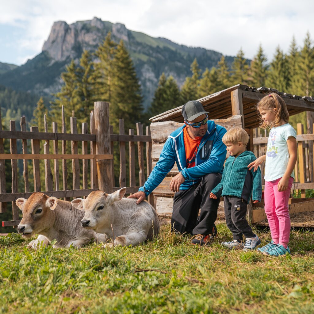 What To Do As A Family