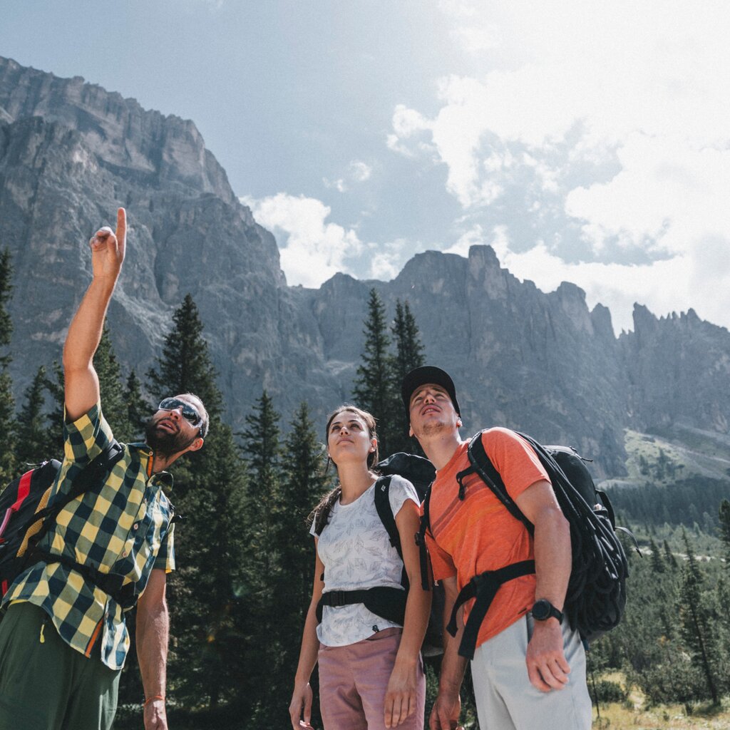 Sentieri E Percorsi In Quota