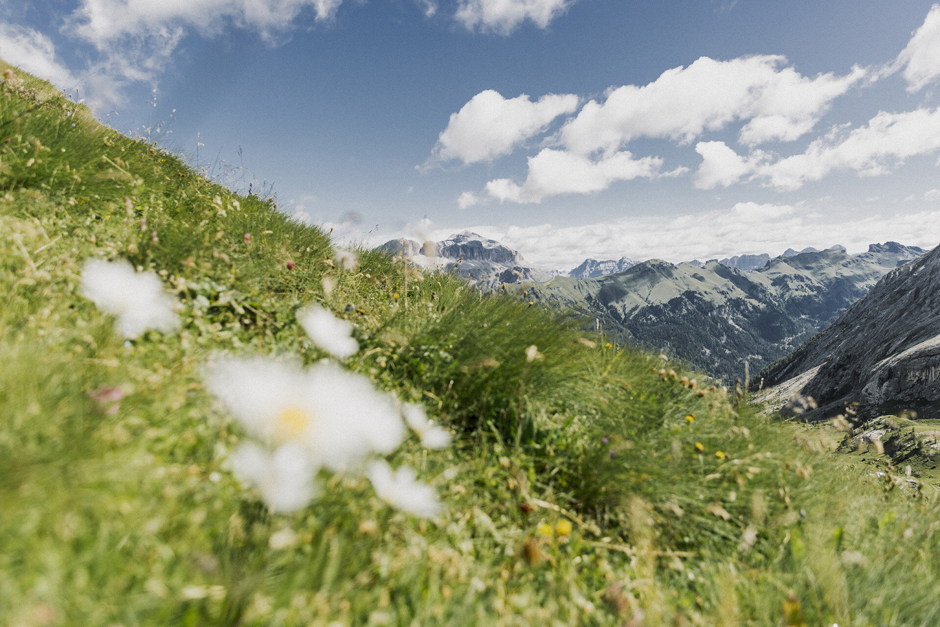 ApTValdiFassa 028 FEDERICO MODICA 2093