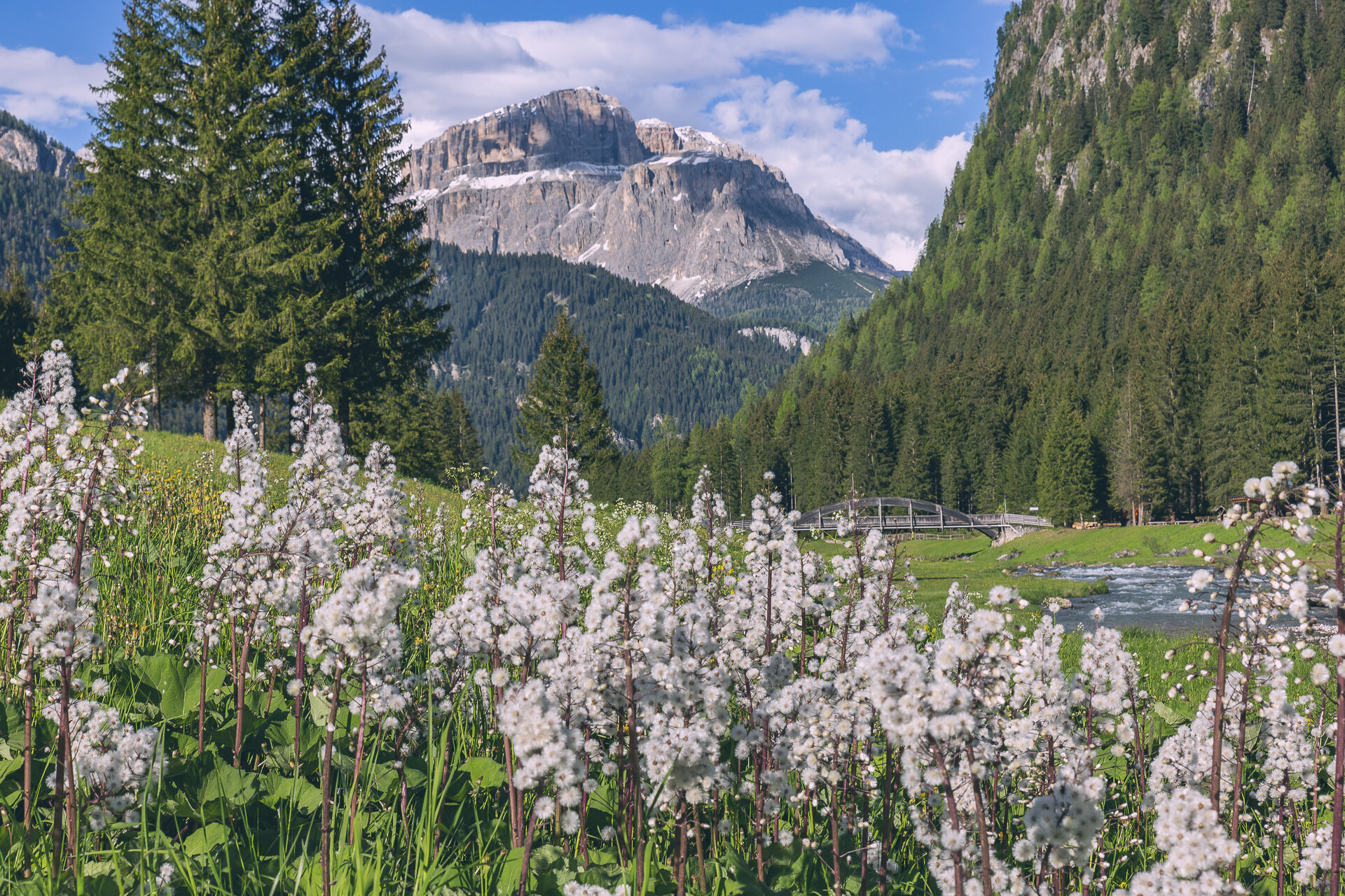 Primavera a Mazzin in Val di Fassa | © Patricia Ramirez - Archivio Immagini ApT Val di Fassa