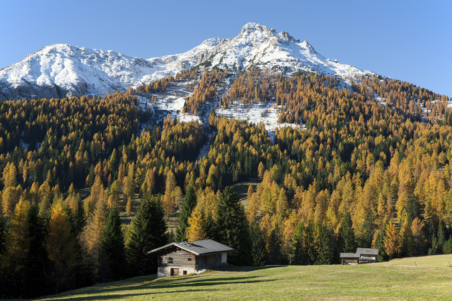 Passo Costalunga in autunno in Val di Fassa | © Nicola Angeli - Archivio Immagini APT Val di Fassa