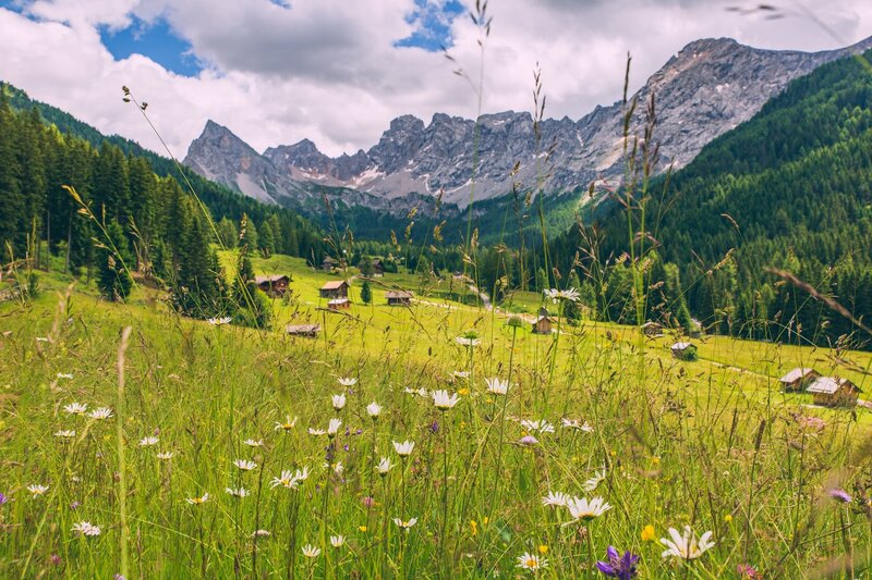 Stage 4 Dolomiti Trek King Short Experience   Between Pastures And Huts Of Val San Nicolò